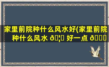家里前院种什么风水好(家里前院种什么风水 🦄 好一点 🍁 )